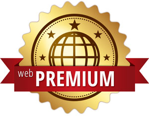 Páginas web en Bogotá - Plan premium